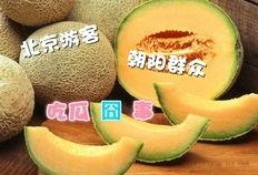 朝阳吃瓜网,揭秘娱乐圈最新热点，带你领略明星幕后故事