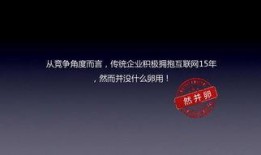 社会热点ppt 网红黑料视频,揭秘网红黑料视频背后的社会热点现象