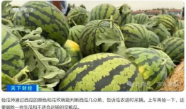 瓜老师,开启人生新篇章