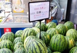 热门大瓜,热门大瓜背后的惊人真相